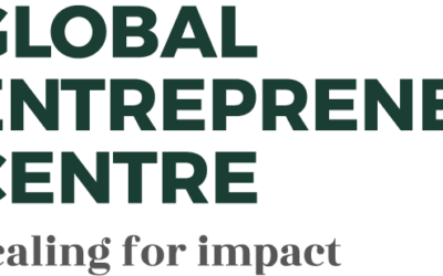 Das Global Entrepreneurship Centre veröffentlicht neue Ausschreibung für nachhaltige Startups